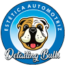 Logo-detailing-bulls-header